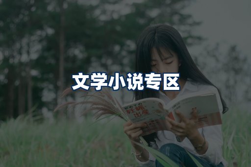 文学小说PDF展示